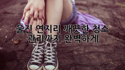 울진 연지리 깨끗한 청소, 관리까지 완벽하게!
